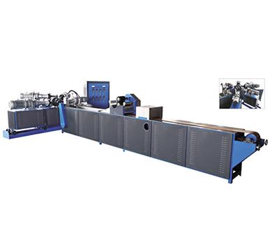 Co-extrusion Line